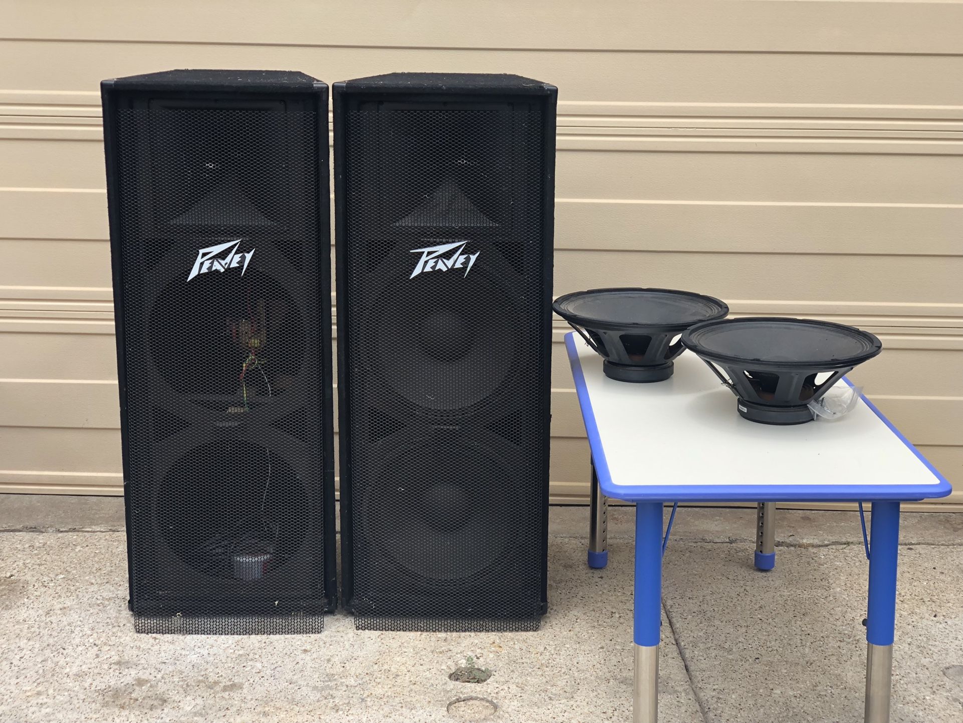 Peavey PV215 PA Speakers