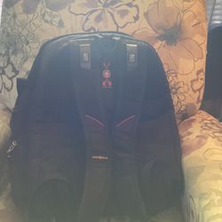 Swiss gear ScanSmart TSA Backpack