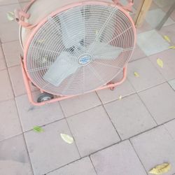 Commercial Fan