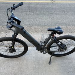 Favorite Hybrid ST E-Bike