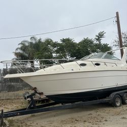 Pantera Boat