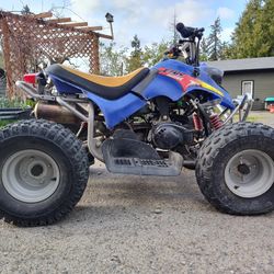  Quad 2 Stroke 110 Cc
