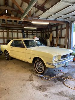 66 and 65 ford mustangs