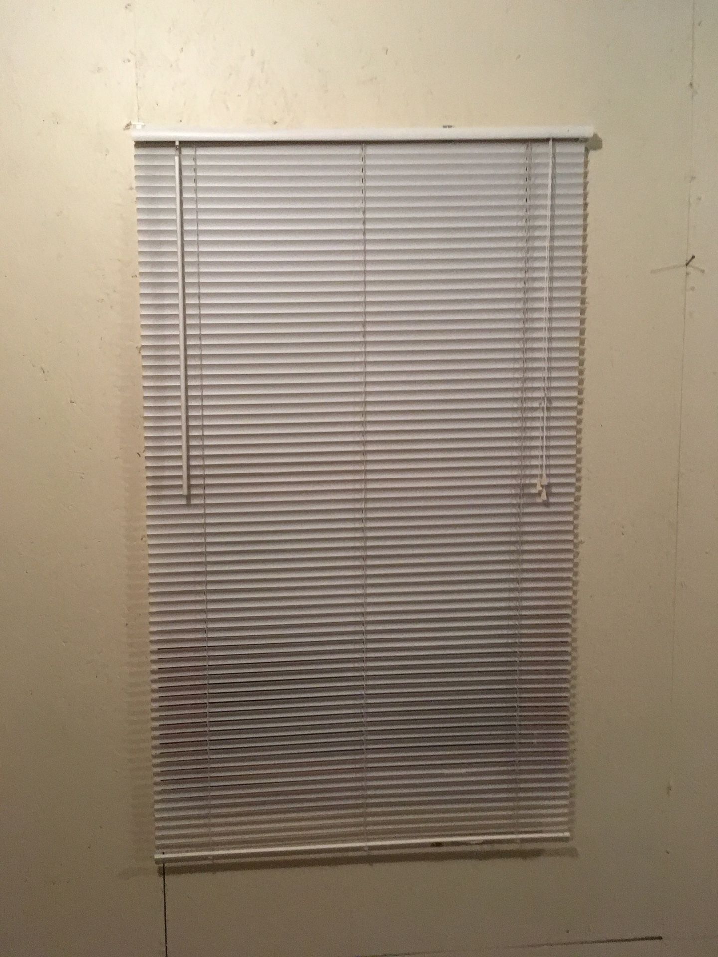New Levelor mini blinds 27 x 64