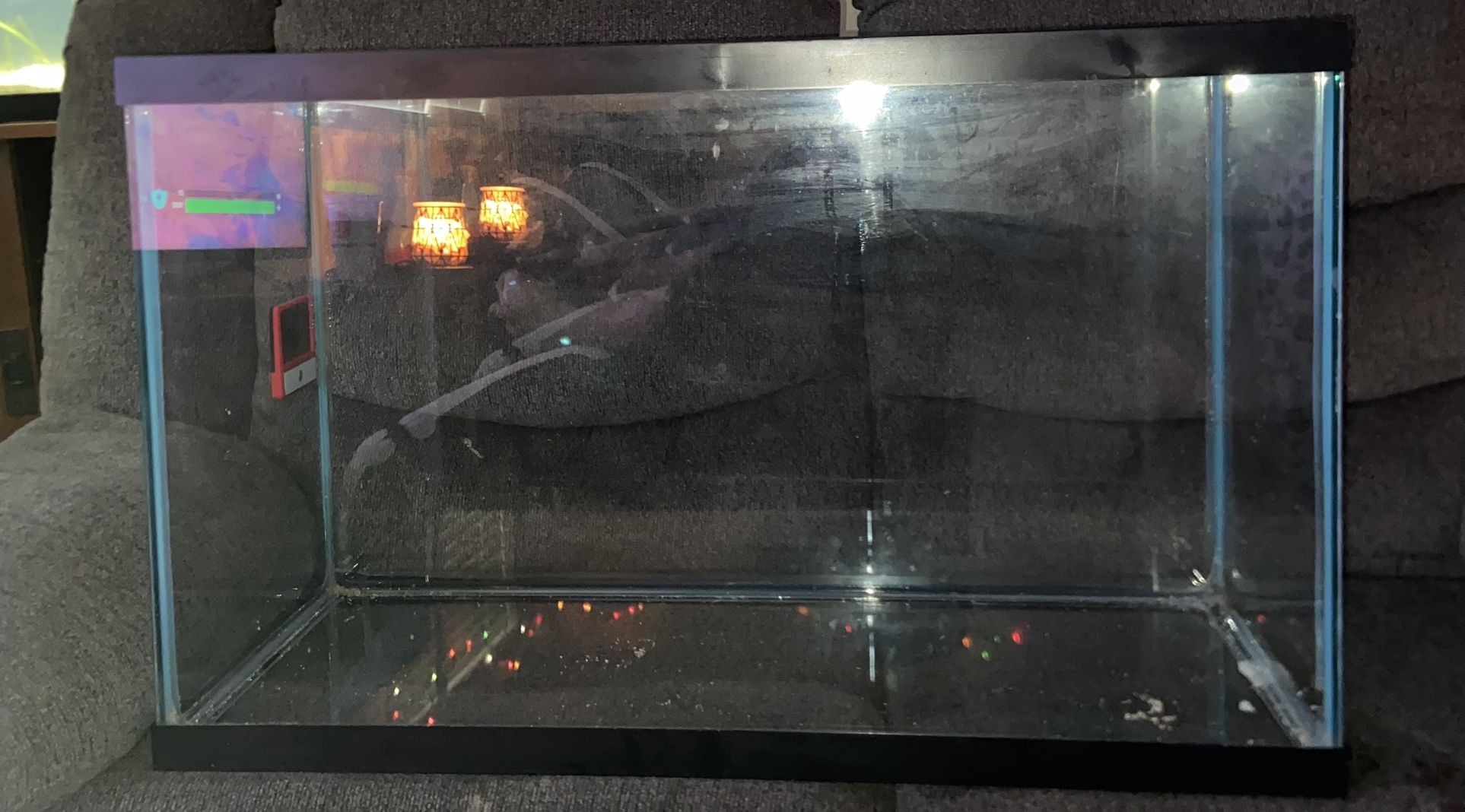 29 gal fish tank/aquarium