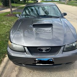 2004 Ford Mustang