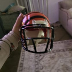 Little Bengals Helmet To Fit On Pets