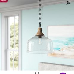 Allen & Roth Pendant Light!!