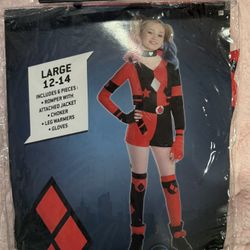 DC COMICS The Batman Harley Quinn Cosplay Dress Up DC Girls Comic Sz Large 12-14