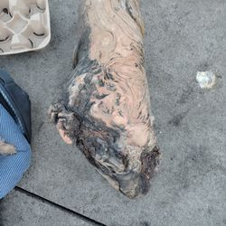 Wood Wood Uncertain What Type For Sale Is Heavy And Solid
