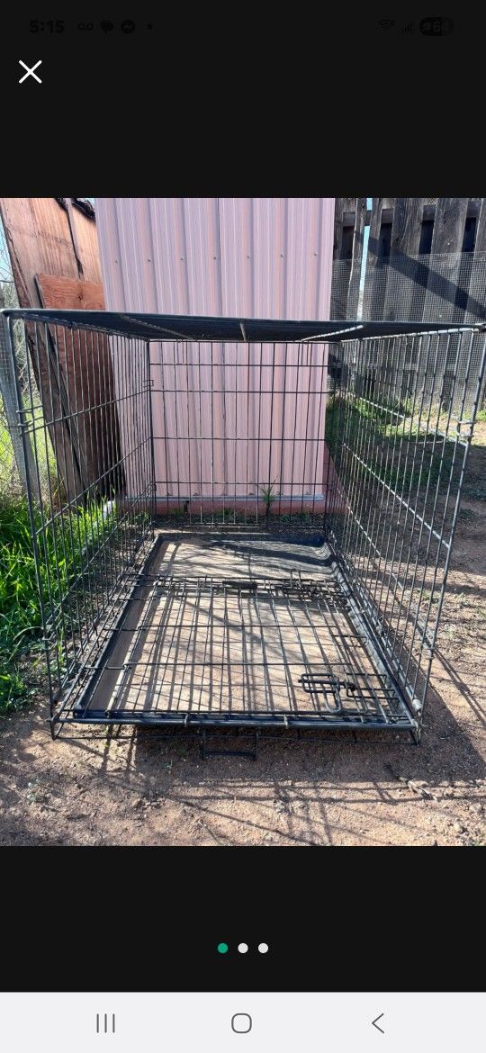 Animal Cage