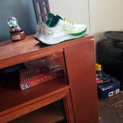 Oregon Duck Offis