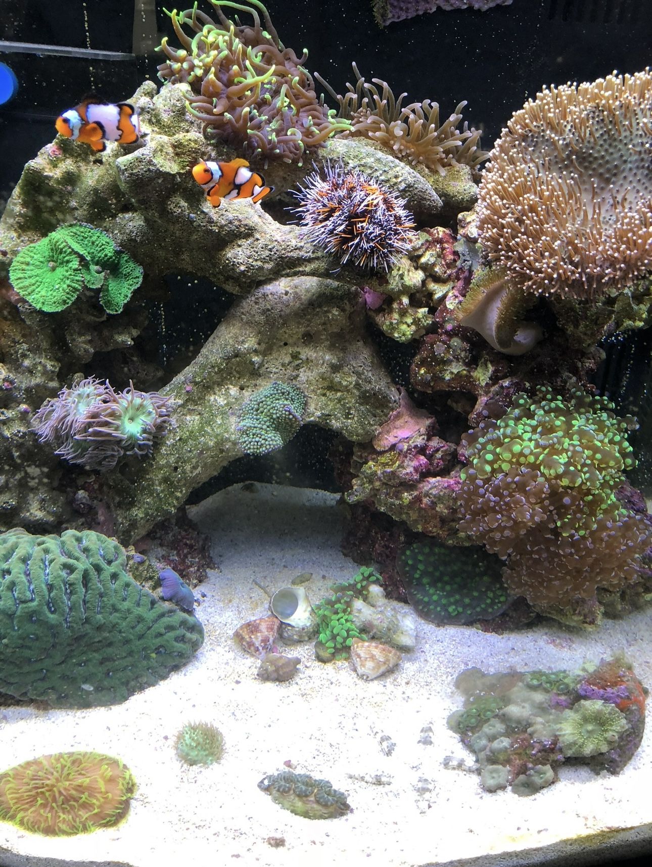120 Gallon Fish Tank and Components