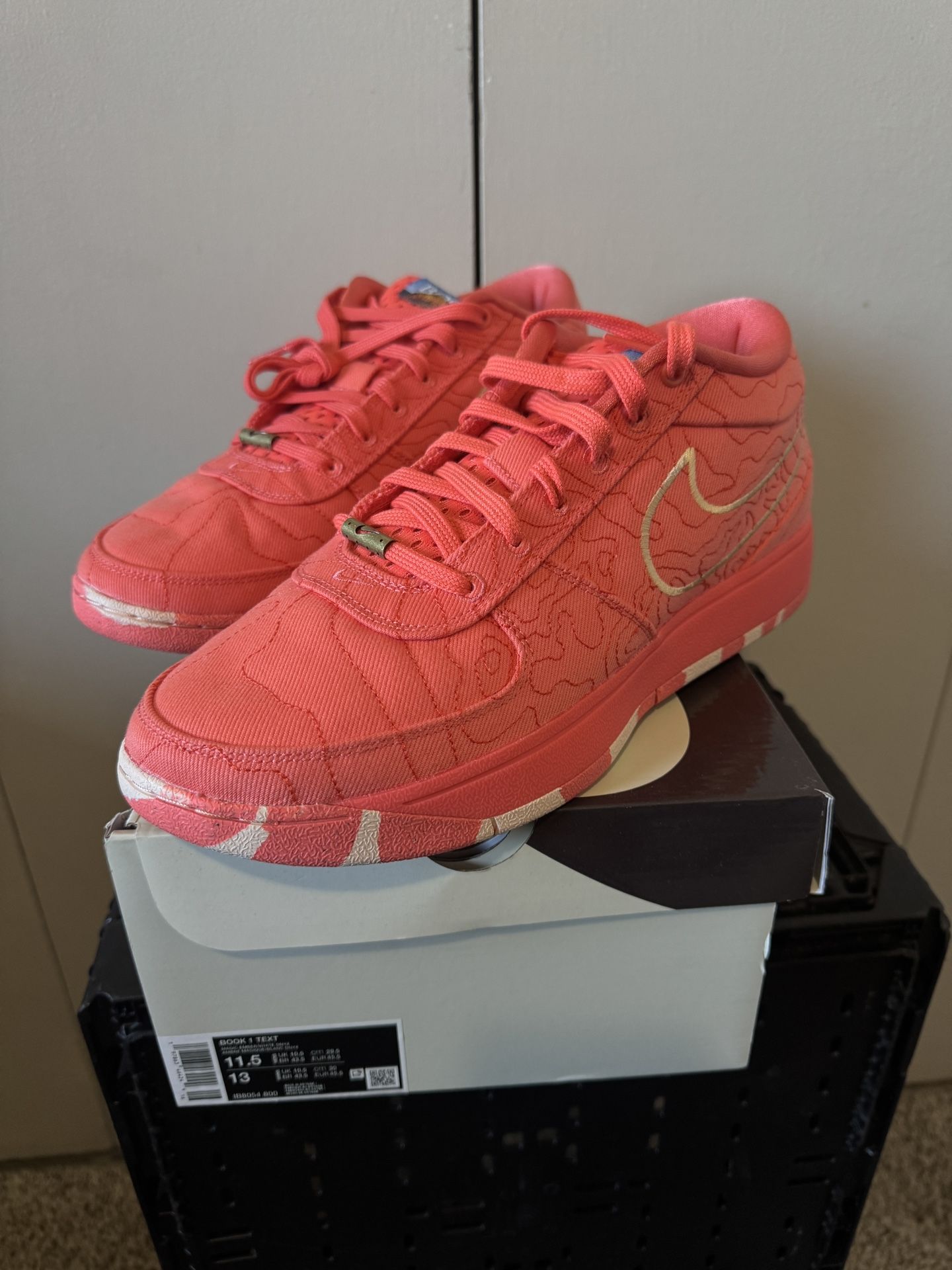 Devin Booker Chapter 1 Shoe 11.5