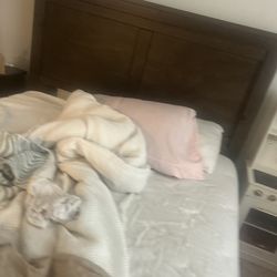 Free Queen Bed Frame, Box Spring, Mattress