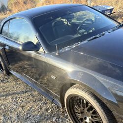 2000 Ford Mustang
