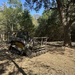 Skid Forestry Mulching 