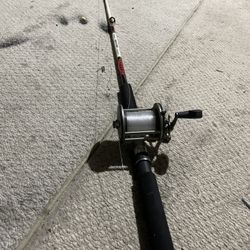 Perfect Condition Penn Rod
