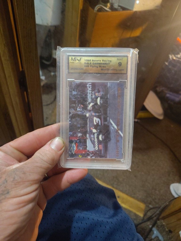 1995 Assets Racing Dale Earnhardt S&S Flying Aces