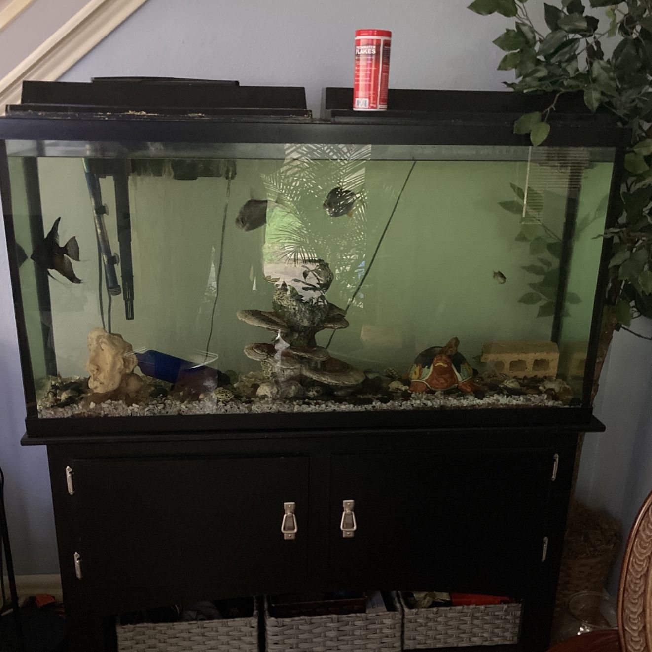 Tank w/Fish and Accessories 