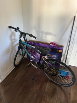 Cruiser Bike