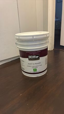Paint and primer