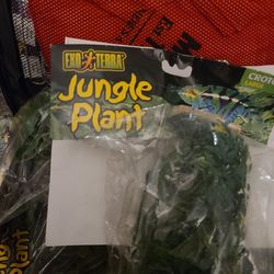 Jungle Plant