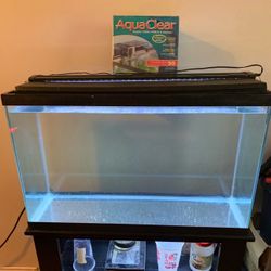 30 Gallon Tank with stand 