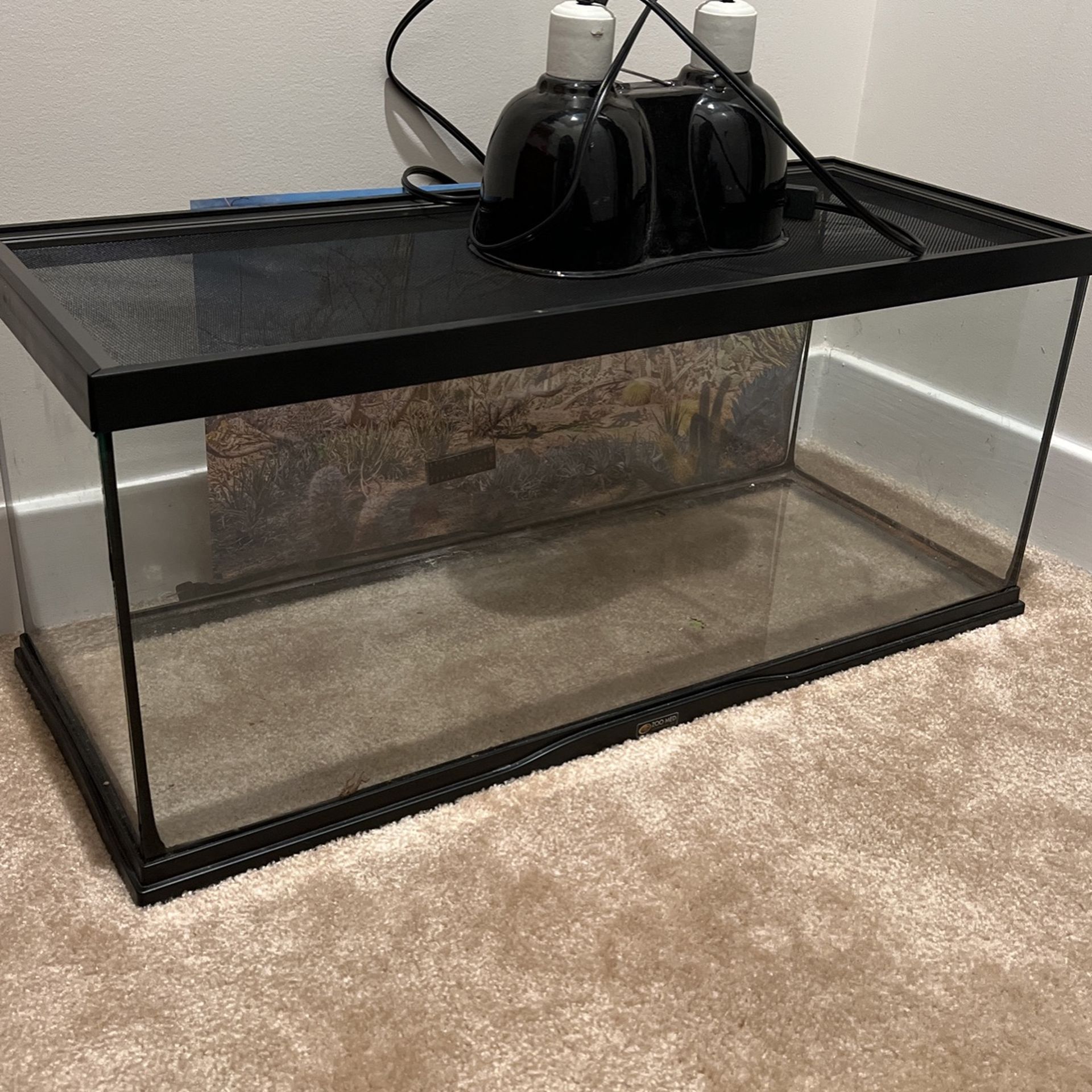 Reptile Tank