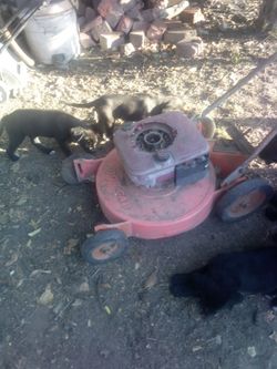 BOB CAT brush hog