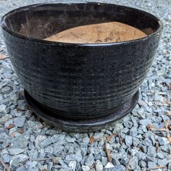$5 Plant Pot