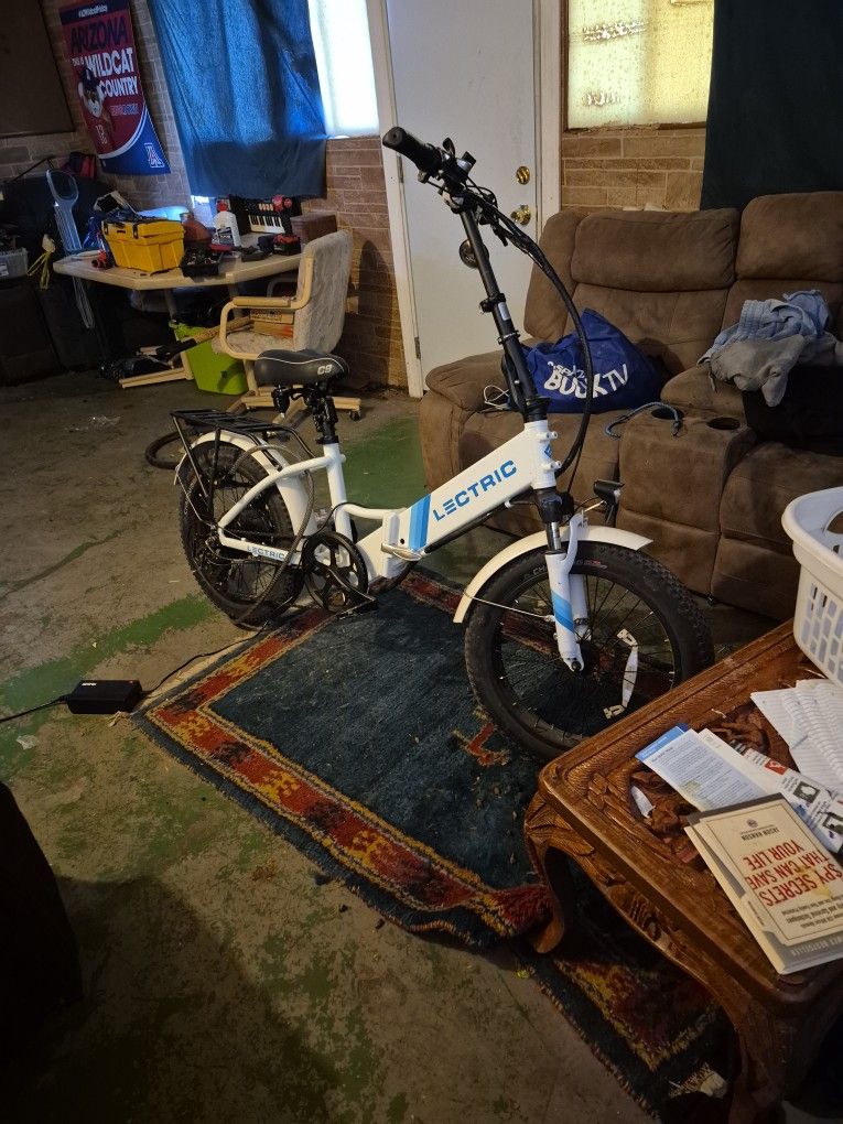 Lectric Bike