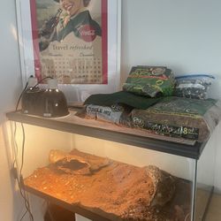 Reptile Tank and UV And Heat Light