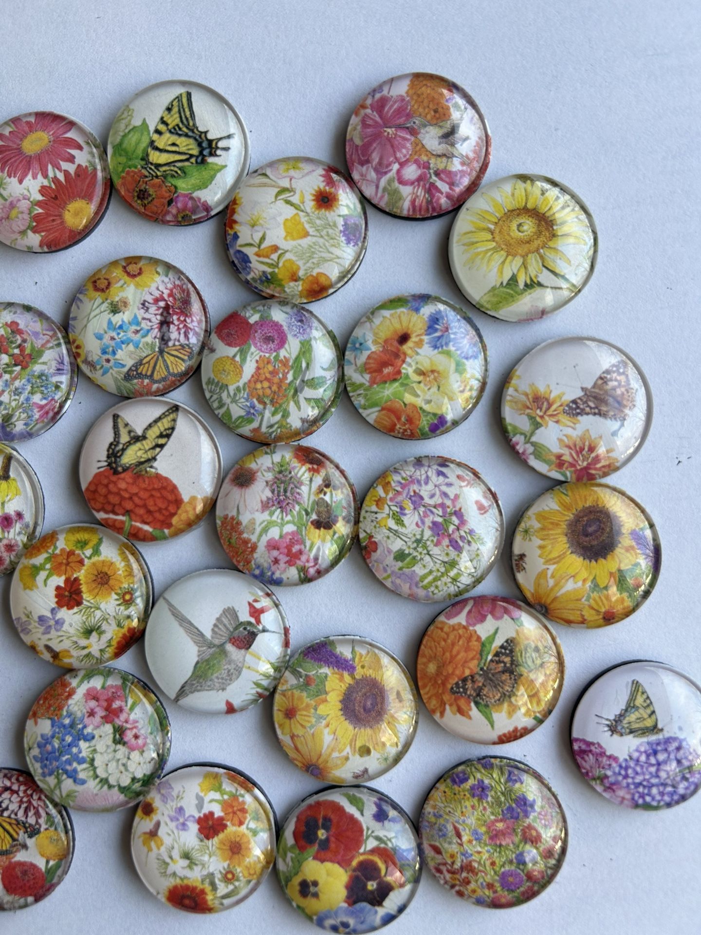 Botanical Art Magnets (Set Of 5)