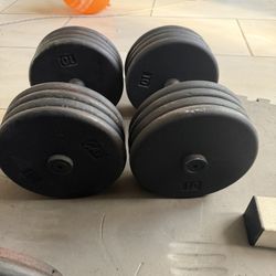 Dumbbells weights 85lbs pair