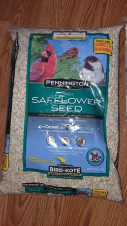 Bird Food