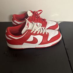 Nike Dunks 9.5 No Box