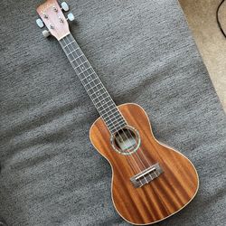 Ukulele/Cordoba **BRAND NEW**