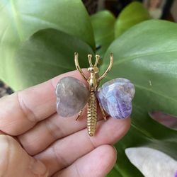 Amethyst Dragonfly 