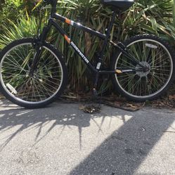 Road Master Bicycle 