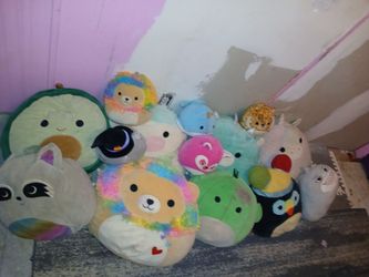 Squishmallow grandes y chicos t