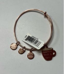 Alex and Ani Women's Color Infusion Pumpkin Spice and Chill Charm Bangle, Shiny Rose Gold