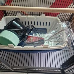 Bird Cage 