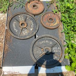 2 45 Lb Olympic Weight Plates And 2  25lb Olympic Plates