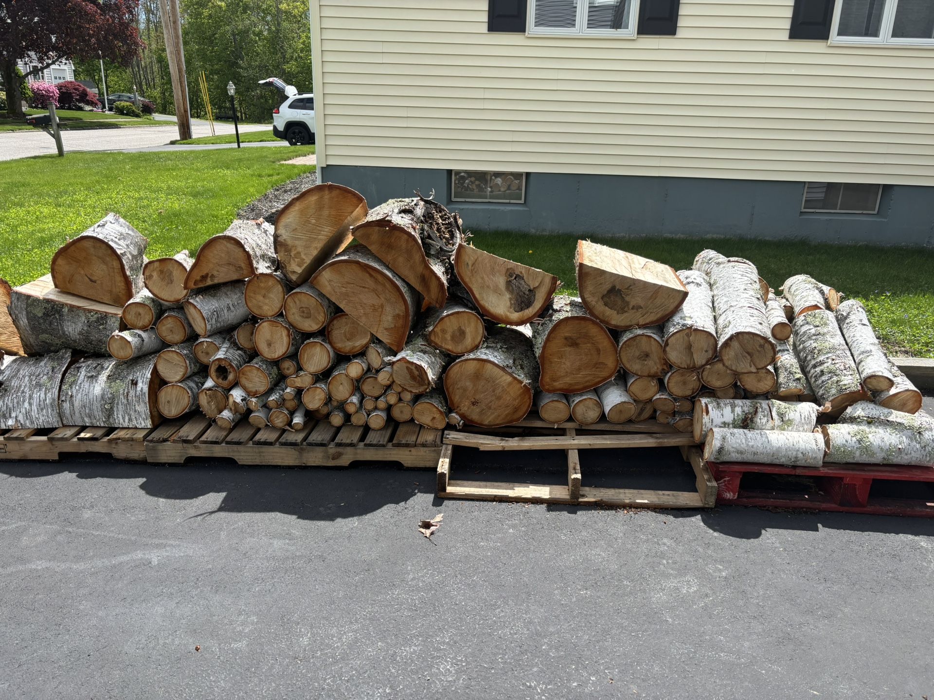 White Birch firewood!