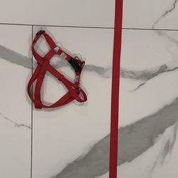 Dog Harness And Leash (SET)