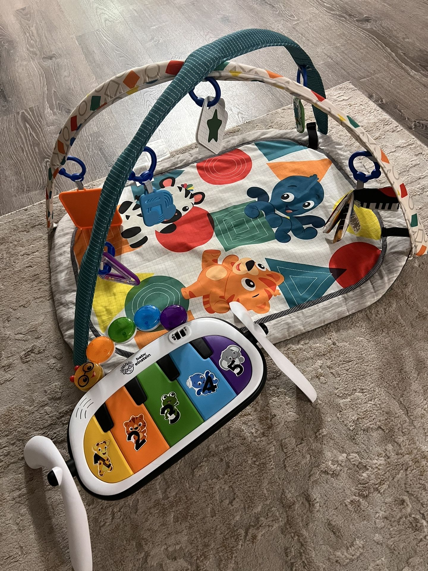 Baby Einstein Play Gym