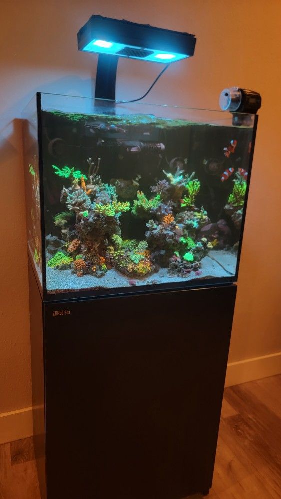 Red Sea Reefer 170 System (34 Gal) Aquarium