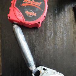 Web Snap Hook