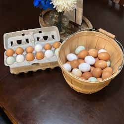 Farm Fresh Organic Chicken Eggs